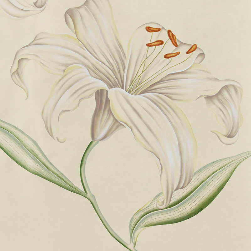 Обои ручная роспись Lilium Special Colourway on Ivory dyed silk Обои ручная роспись Lilium Special Colourway on Ivory dyed silk в Твери | Loft Concept