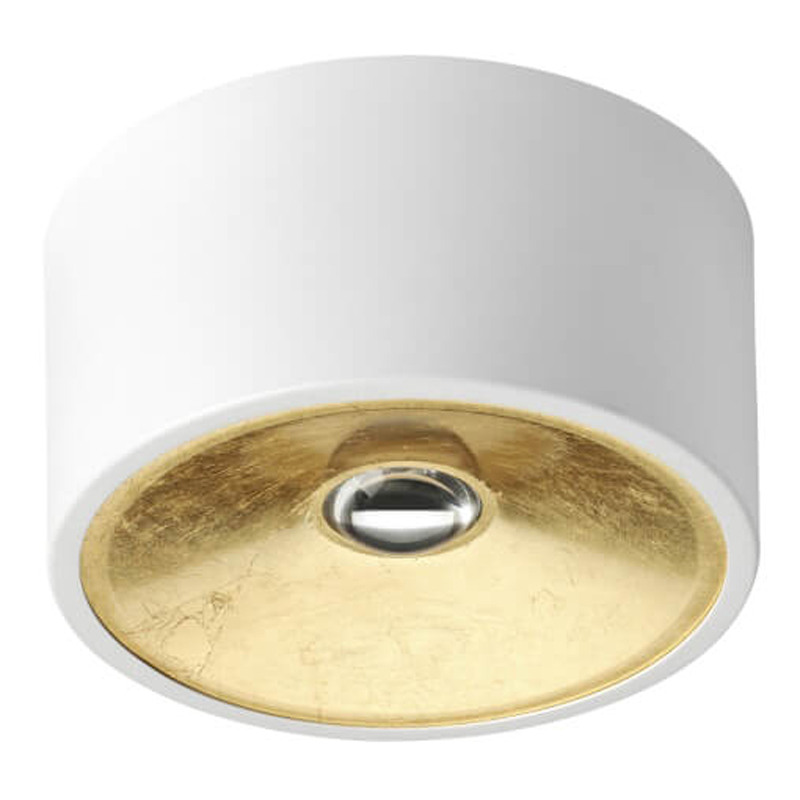 Спот Gold Diffuse Белый 20 Белый Золотой Спот Gold Diffuse Белый 20 Белый Золотой в Твери | Loft Concept