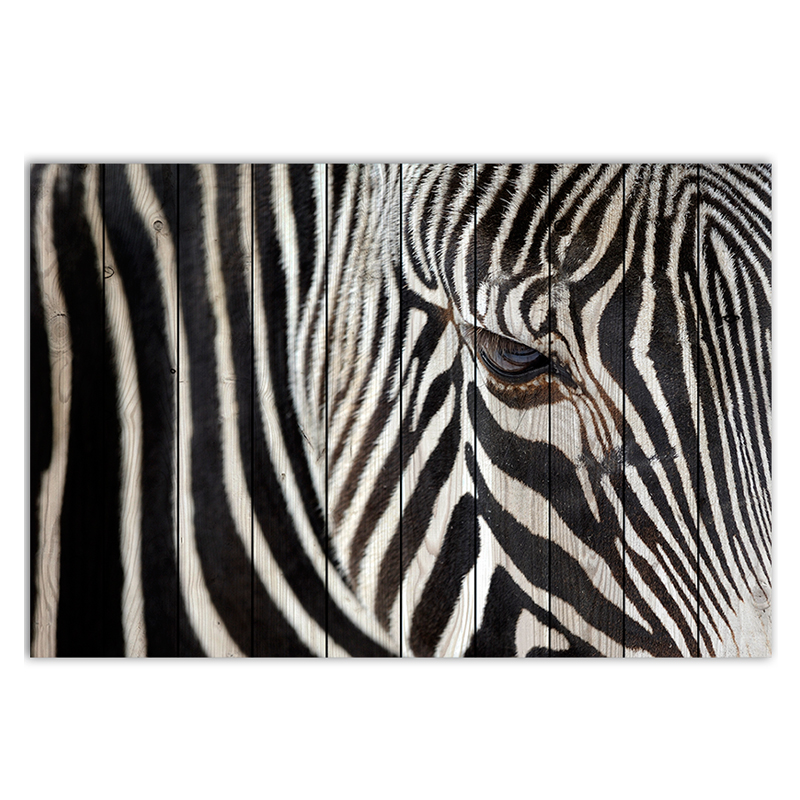 Постер Zebra Постер Zebra в Твери | Loft Concept