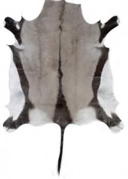 Натуральная шкура антилопы Gemsbok Черный Натуральная шкура антилопы Gemsbok Черный в Твери | Loft Concept