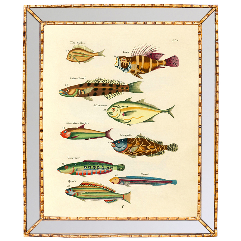 Постер в зеркальной раме Fish Guide 2 Мульти Золотой Постер в зеркальной раме Fish Guide 2 Мульти Золотой в Твери | Loft Concept