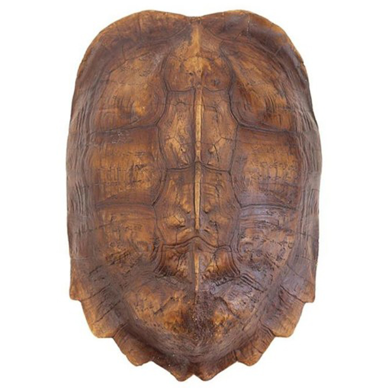 Аксессуар Turtle Shell Natural Light Brown Коричневый Аксессуар Turtle Shell Natural Light Brown Коричневый в Твери | Loft Concept