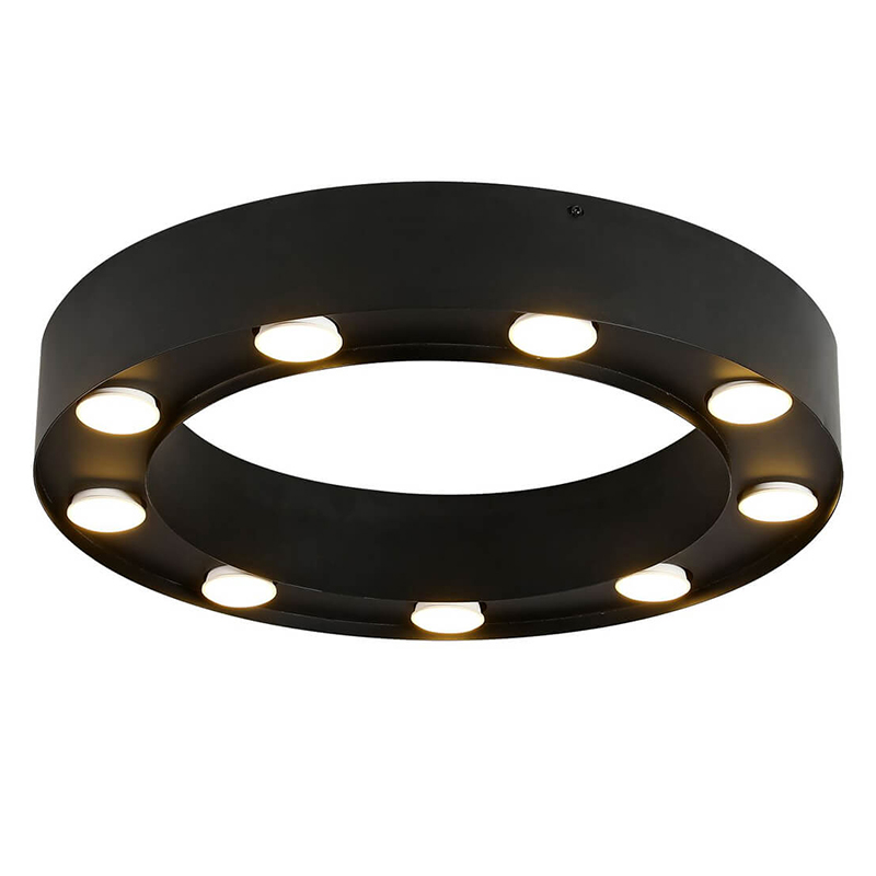 Потолочный светильник Dugan Ceiling Lamp 50 Черный Потолочный светильник Dugan Ceiling Lamp 50 Черный в Твери | Loft Concept