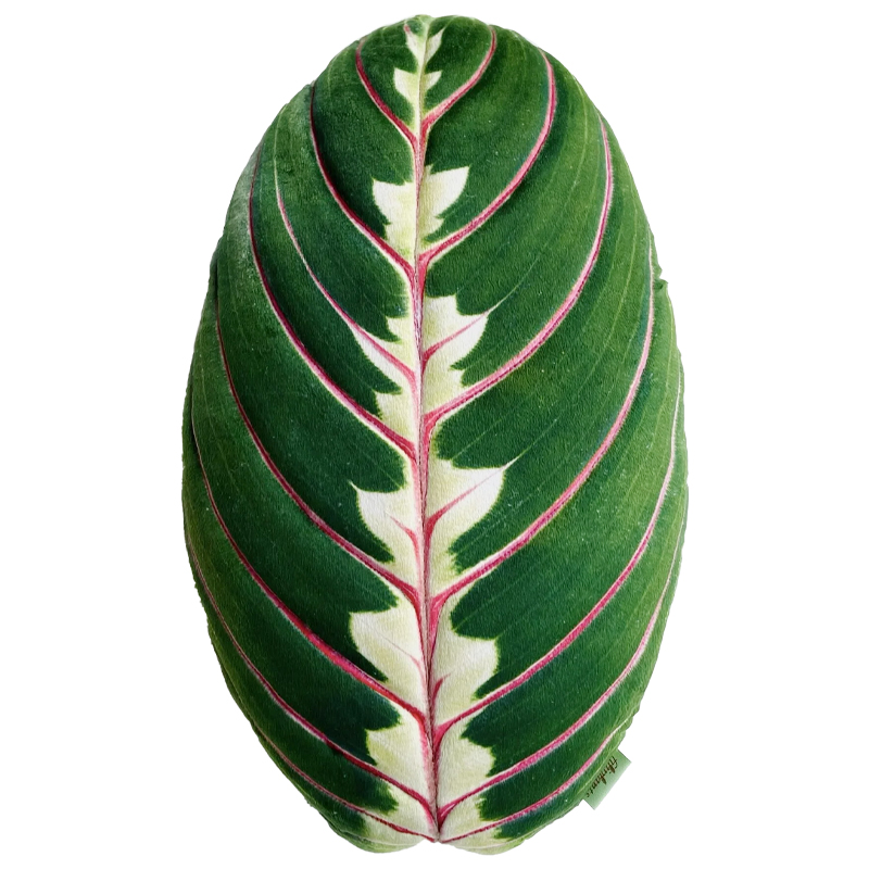 Декоративная подушка Botanical Cushion Maranta Trikolor Зеленый Бургундский красный Декоративная подушка Botanical Cushion Maranta Trikolor Зеленый Бургундский красный в Твери | Loft Concept