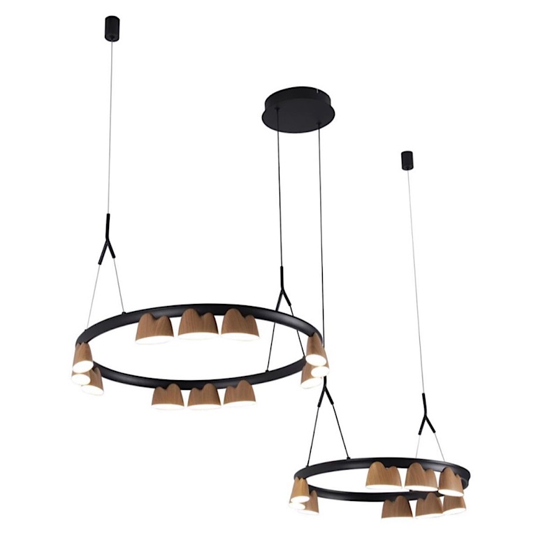 Люстра Wooden Eco Light Черный матовый Люстра Wooden Eco Light Черный матовый в Твери | Loft Concept