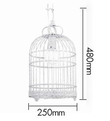 Подвесной светильник Bird Cage Подвесной светильник Bird Cage в Твери