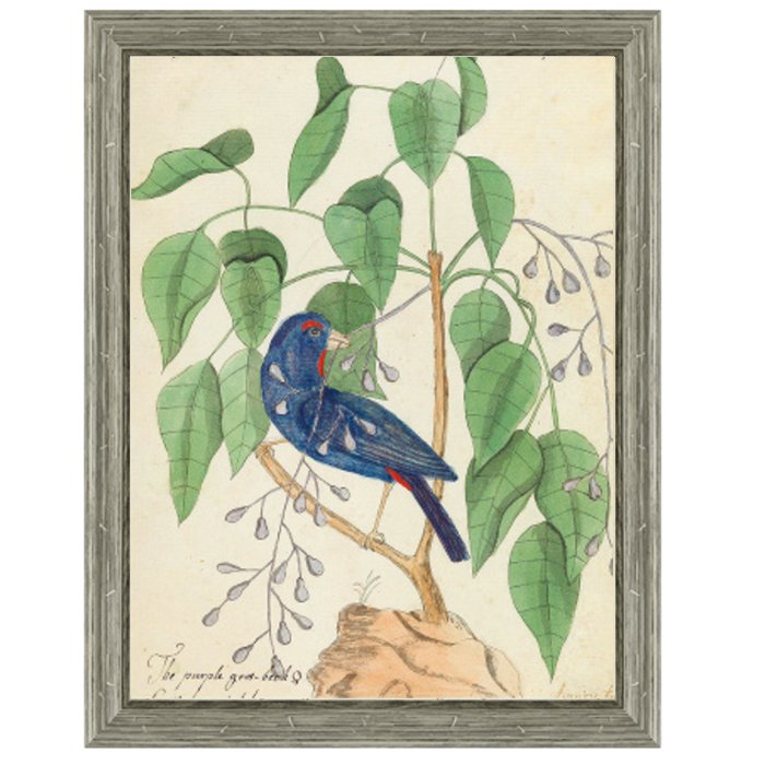 Постер Blue Bird In Foliage Постер Blue Bird In Foliage в Твери | Loft Concept