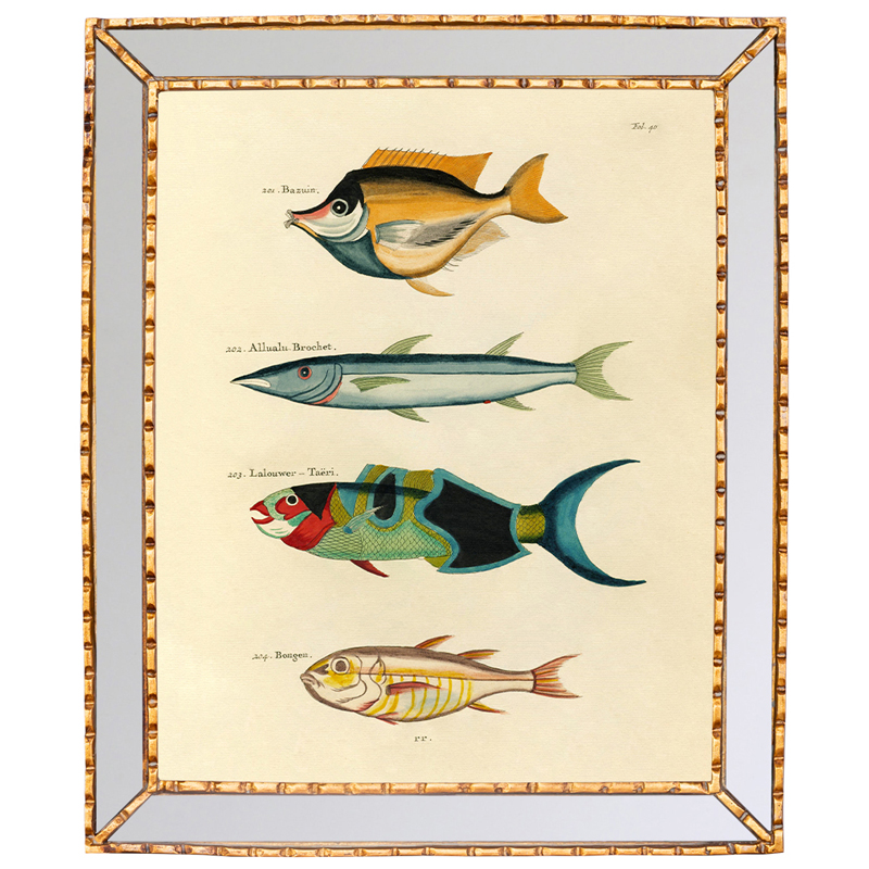 Постер в зеркальной раме Fish Guide 3 Мульти Золотой Постер в зеркальной раме Fish Guide 3 Мульти Золотой в Твери | Loft Concept