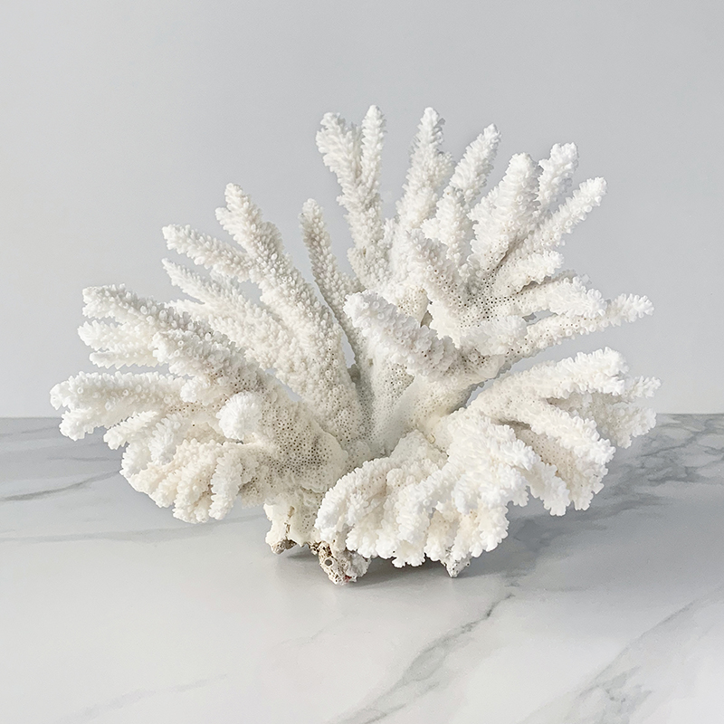 Статуэтка Branch M Coral Статуэтка Branch M Coral в Твери | Loft Concept