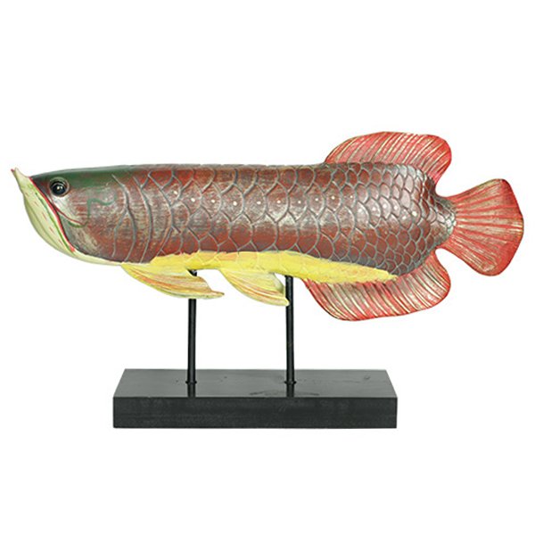 Аксессуар для интерьера рыба Colored Fish Аксессуар для интерьера рыба Colored Fish в Твери | Loft Concept