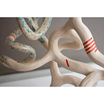 Скульптура «Papañca» варинант исполнения - 3 | Loft Concept в Твери