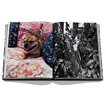 Книга подарочная Смелый бразильский стиль Сиг Бергамина Assouline Maximalism by Sig Bergamin варинант исполнения - 9 | Loft Concept в Твери