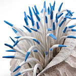 Статуэтка тропический фрукт Tropical Fruit White Blue варинант исполнения - 1 | Loft Concept в Твери