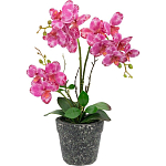 Декоративный искусственное растение Pink orchid варинант исполнения - 1 | Loft Concept в Твери