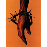 Подарочная книга величайший фотограф Альберт Уотсон The Vienna album Albert Watson варинант исполнения - 4 | Loft Concept в Твери