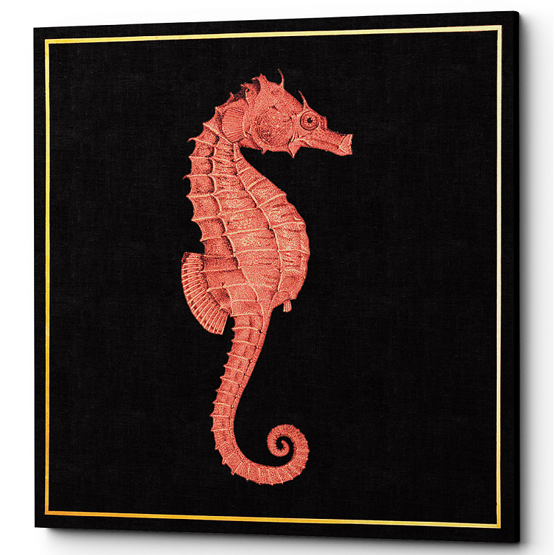 Постер Sea Horse Poster Черный Красный в Твери | Loft Concept 