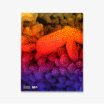 Редкое подарочное издание Yayoi Kusama: 1945 to Now варинант исполнения - 3 | Loft Concept в Твери