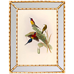 Постер с изображением птиц и цветов в зеркальной раме Blooming Birds Poster варинант исполнения - 4 | Loft Concept в Твери