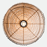 Подвесной светильник в виде купола декорированный белыми деревянными бусинами White Wooden Beads Hanging Lamp варинант исполнения - 4 | Loft Concept в Твери
