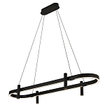 Люстра подвесная овальная черная  Black Light Fixtures варинант исполнения - 1 | Loft Concept в Твери