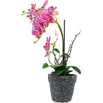Декоративный искусственное растение Pink orchid варинант исполнения - 4 | Loft Concept в Твери