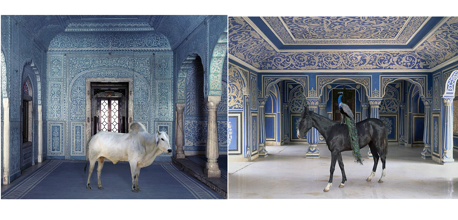 Книга KAREN KNORR INDIA SONG Книга KAREN KNORR INDIA SONG - Loft-Concept в Твери