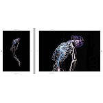 Монография художника Tavares Strachan - There is Light Somewhere варинант исполнения - 6 | Loft Concept в Твери