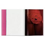 Книга Gisele Bundchen варинант исполнения - 7 | Loft Concept в Твери