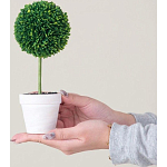 Декоративный искусственное растение Boxwood One варинант исполнения - 6 | Loft Concept в Твери