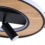 Потолочный светильник круглый GAVIN WOOD варинант исполнения - 2 | Loft Concept в Твери