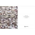 Книга Maison Lesage: Haute Couture Embroidery Mauries Patrick варинант исполнения - 11 | Loft Concept в Твери