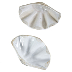 Фигурка из фарфора в виде одной створки ракушки Marine Tridacna варинант исполнения - 3 | Loft Concept в Твери