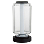 Настольная лампа с прозрачным плафоном Jarrty варинант исполнения - 1 | Loft Concept в Твери