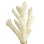 Статуэтка Stand Coral варинант исполнения - 2 | Loft Concept в Твери