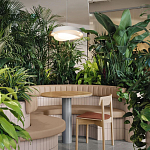 Подвесной светильник круглый белого цвета из металла Vita Cuna варинант исполнения - 8 | Loft Concept в Твери