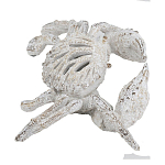 Статуэтка краб с детализированной текстурой в белом цвете Marine Accessories варинант исполнения - 4 | Loft Concept в Твери