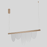 Люстра подвесная с пятью прозрачными элементами в форме лепестков и золотистым металлическим основанием DALI Tonin Casa варинант исполнения - 2 | Loft Concept в Твери