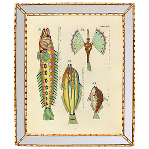 Постер в зеркальной раме Fish Guide 5