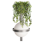 Бра Benedict Dark grey варинант исполнения - 1 | Loft Concept в Твери