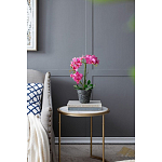 Декоративный искусственное растение Pink orchid варинант исполнения - 8 | Loft Concept в Твери
