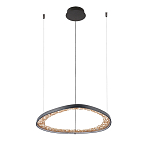 Люстра светодиодная  Iris варинант исполнения - 2 | Loft Concept в Твери