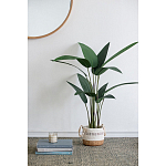 Декоративный искусственное растение Decor Stile  варинант исполнения - 7 | Loft Concept в Твери