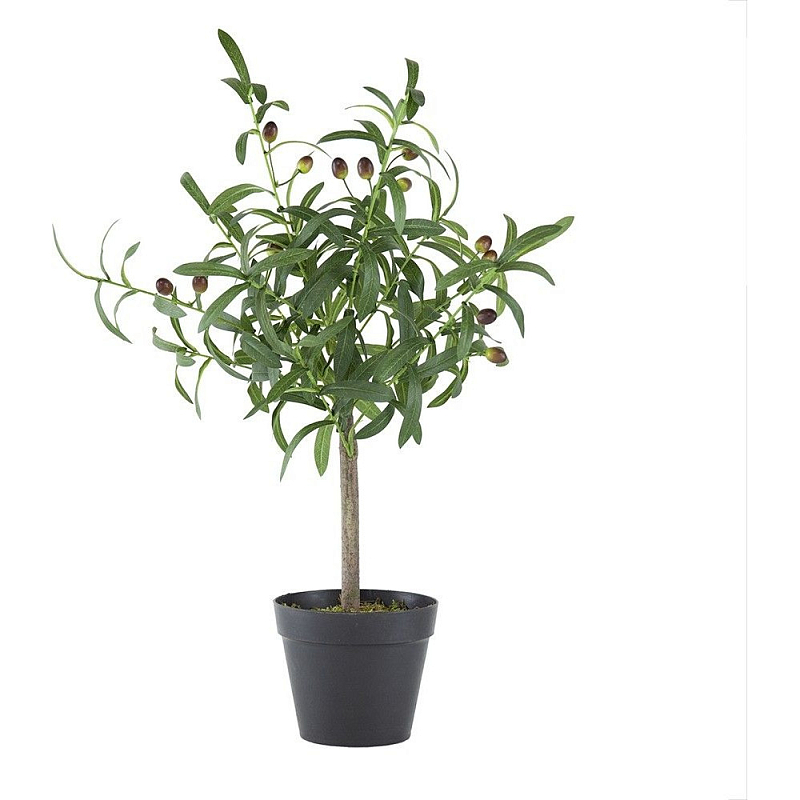 Декоративный искусственное растение Olive tree with fruits Зеленый Черный Коричневый Декоративный искусственное растение Olive tree with fruits Зеленый Черный Коричневый в Твери | Loft Concept