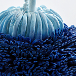 Статуэтка Синий тропический фрукт Tropical Fruit Pandora 1 варинант исполнения - 4 | Loft Concept в Твери