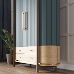 Шкаф «Гавайи» варинант исполнения - 2 | Loft Concept в Твери