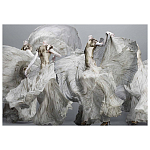 Alexander McQueen: Savage Beauty варинант исполнения - 2 | Loft Concept в Твери