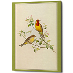Постер на холсте с изображением птиц Blooming Birds Poster варинант исполнения - 12 | Loft Concept в Твери