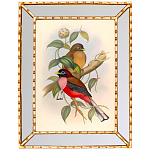 Постер с изображением птиц и цветов в зеркальной раме Blooming Birds Poster варинант исполнения - 7 | Loft Concept в Твери