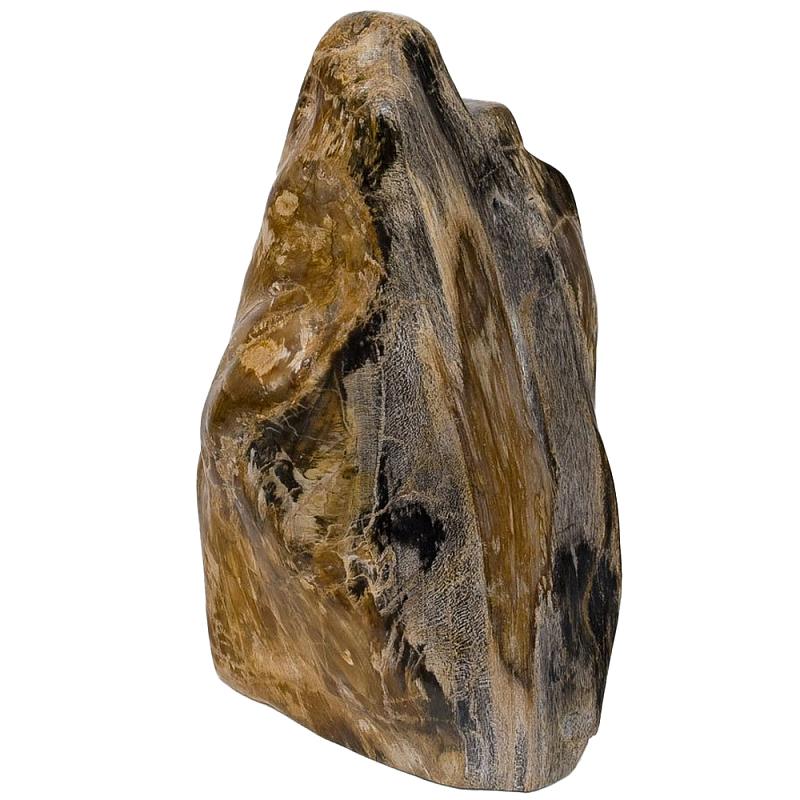 Аксессуар для интерьера из окаменелого дерева Little Rock Petrified Wood Statuette Коричневый Аксессуар для интерьера из окаменелого дерева Little Rock Petrified Wood Statuette Коричневый в Твери | Loft Concept