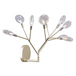 Бра в виде ветвей с прозрачными круглыми плафонами Moooi варинант исполнения - 1 | Loft Concept в Твери